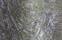 Broad Lane fibreglass roof work